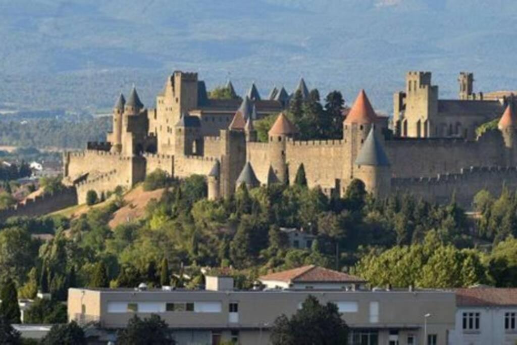 La Halte Du Canal Carcassonne Exterior foto